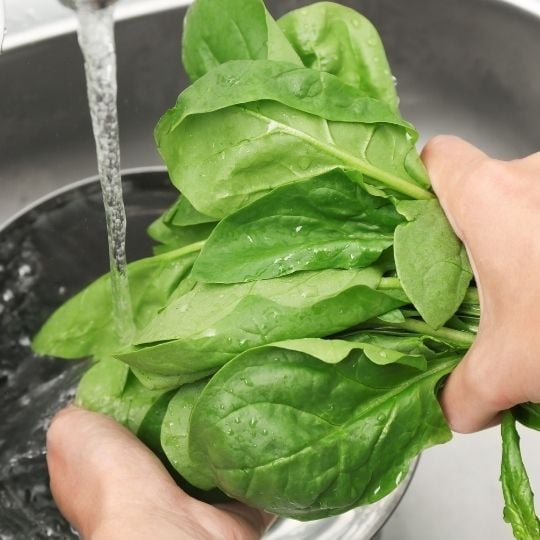 Washing spinnach