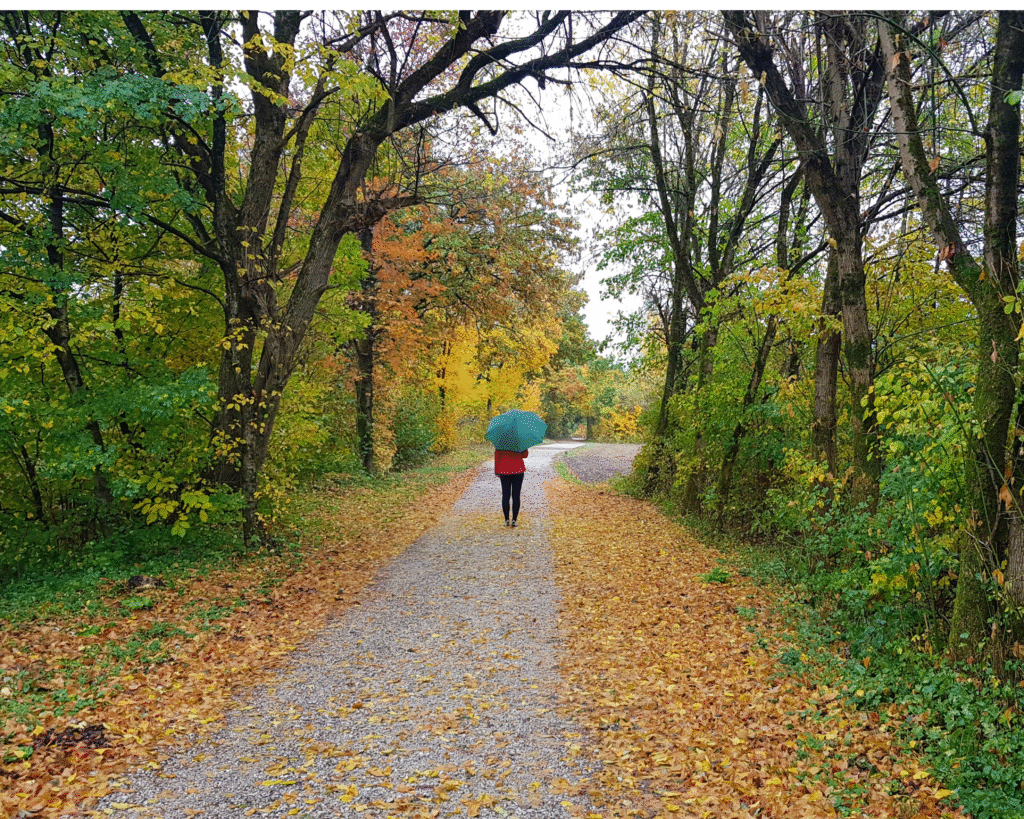 Woman walking through an autumnal scene