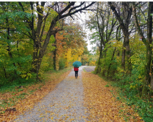 Woman walking through an autumnal scene